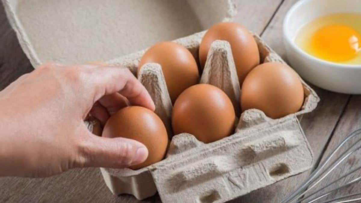 Τι συμβαίνει στον οργανισμό μας όταν τρώμε αυγά – 10 οφέλη που ελάχιστοι γνωρίζουν