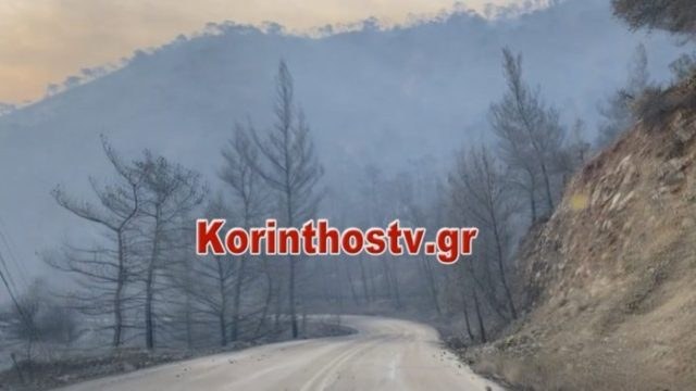 Φωτιά στον Σχίνο Κορινθίας: Στάχτη 20.000 στρέμματα δάσους – Ερευνάται το ενδεχόμενο εμπρησμού