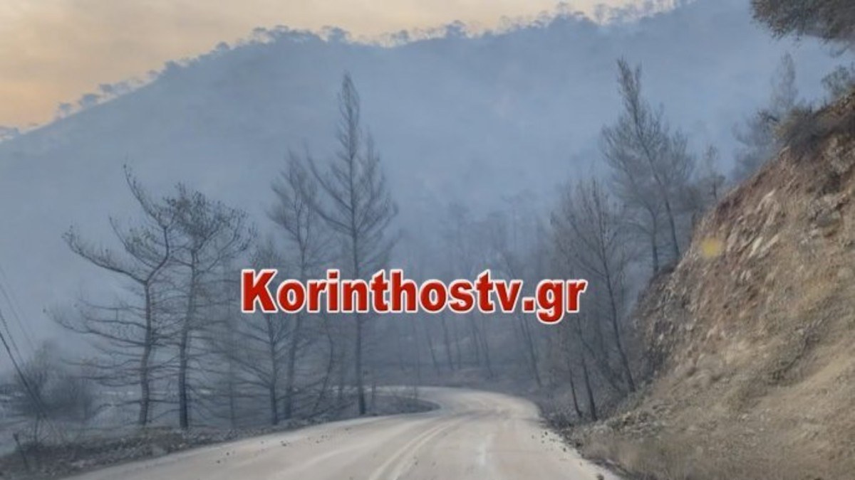 Φωτιά στον Σχίνο Κορινθίας: Στάχτη 20.000 στρέμματα δάσους – Ερευνάται το ενδεχόμενο εμπρησμού