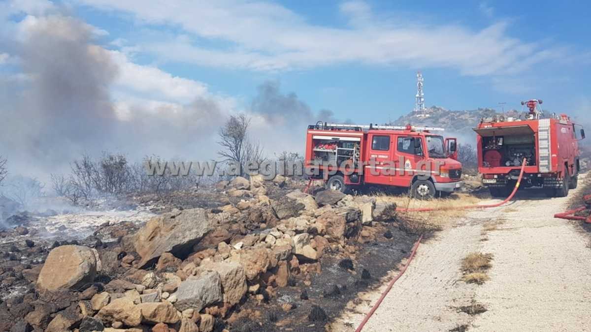 Φωτιά στην Αίγινα – Άμεσα ενισχύσεις για να μην φτάσει σε σπίτια