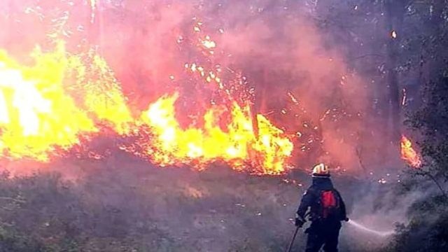 Πυρκαγιά στην Αρκαδία: Σε εξέλιξη φωτιά σε δασική έκταση στο Κρυόνερο – Οι περιοχές της Αττικής που βρίσκονται σε κίνδυνο