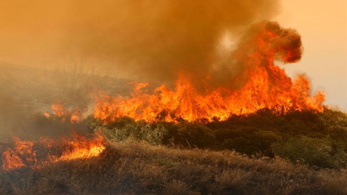Προσοχή! Πολύ υψηλός κίνδυνος πυρκαγιάς σχεδόν στη μισή Ελλάδα – Ποιες περιοχές είναι στο πορτοκαλί