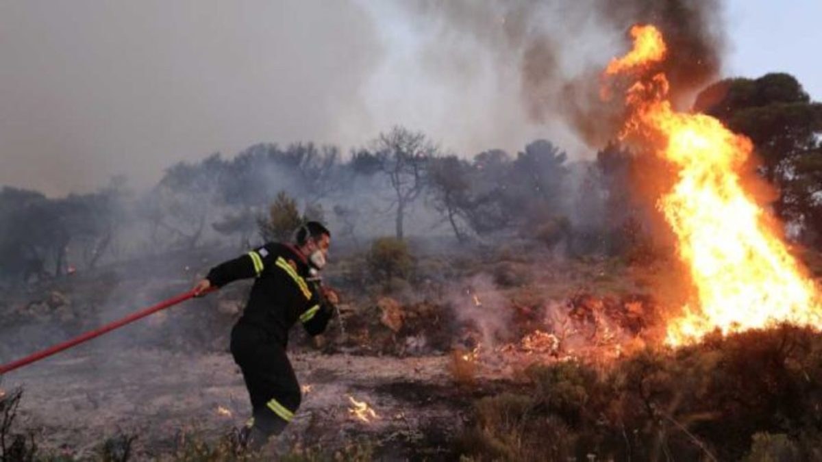 Βοιωτία: Υπό μερικό έλεγχο η φωτιά