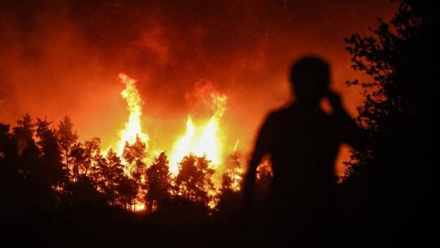 Πυρκαγιές στην Ελλάδα: Κρανίου τόπος Εύβοια και Γορτυνία – Πάνω από μισό εκ. στρέμματα έγινε στάχτη