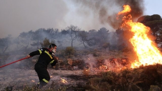 Συναγερμός στην Αργολίδα – Φωτιά σε δασική έκταση