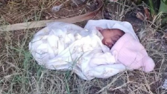 Σκύλος – ήρωας έσωσε μωράκι που το εγκατέλειψε η μαμά του στο πάρκο