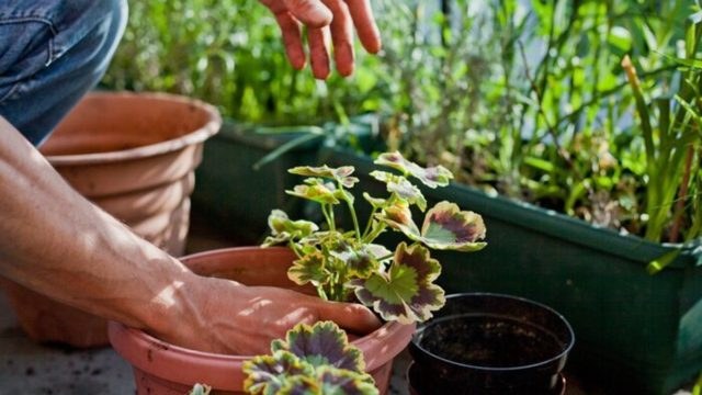 Το εύκολο και γρήγορο κόλπο για να καθαρίσεις γρήγορα τα φύλλα από το μπαλκόνι σου!