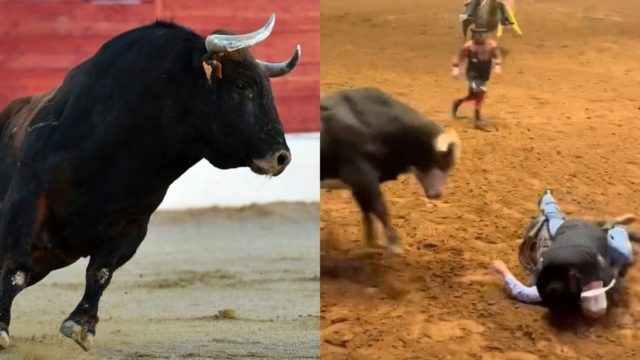 Μπαμπάς της χρονιάς! H απίστευτη στιγμή που πατέρας προστατεύει τον 18χρονο γιο του από το ποδοπάτημα ταύρου (video)