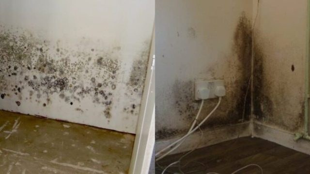 Συμβουλές: Τι να κάνετε για να μην πιάνει μούχλα το ντουλάπι σας από την υγρασία
