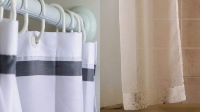 Μαυρίλα από τη μούχλα στην κουρτίνα μπάνιου; Όχι πια! Έτσι θα την καθαρίσετε ανέξοδα και εύκολα