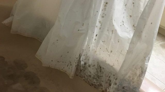 Είναι το πιο βρώμικο πράγμα στο μπάνιο: Έτσι θα καθαρίσετε τις κουρτίνες από τη μούχλα