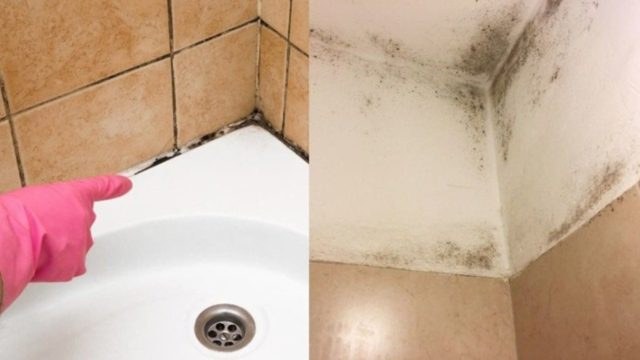 Καθαρίστε το μπάνιο σας από τη μούχλα με τον πιο απίθανο τρόπο!