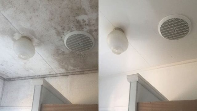 Μούχλα στο ταβάνι του μπάνιου; Με αυτούς τους έξυπνους τρόπους θα την αντιμετωπίσεις