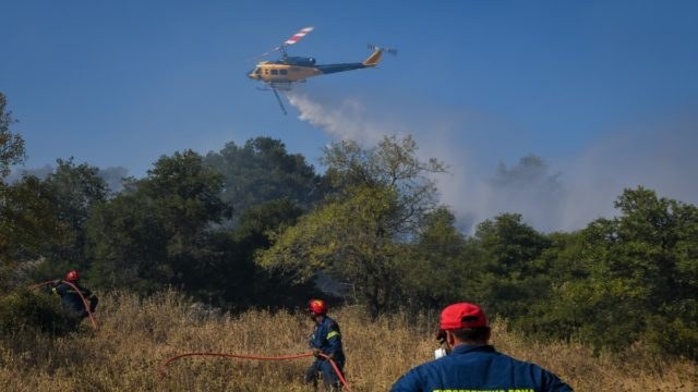 Πυρκαγιά καίει δάσος στη Φωκίδα: Συναγερμός στην Πυροσβεστική – Έσπευσαν και εναέρια μέσα