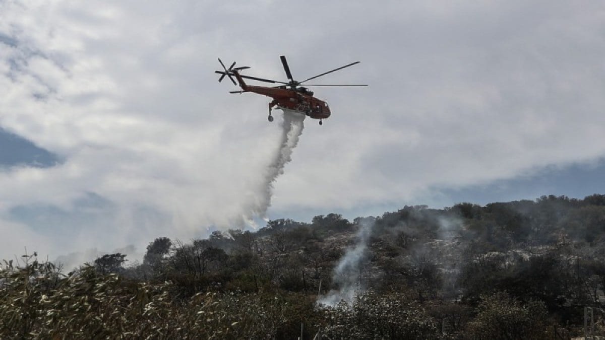 Φωτιά στον Κρεμαστό Εύβοιας