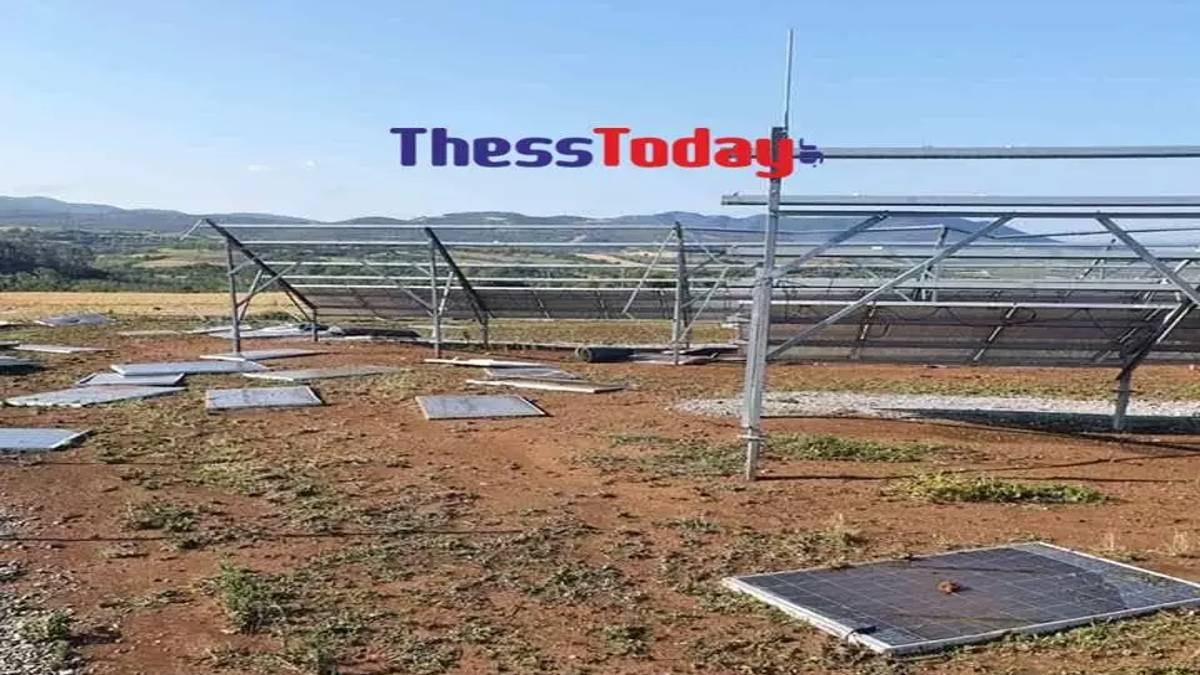 Σέρρες: Ξεριζώθηκαν ολόκληρα δέντρα στην κακοκαιρία εξπρές – Οι φωτογραφίες προκαλούν απελπισία