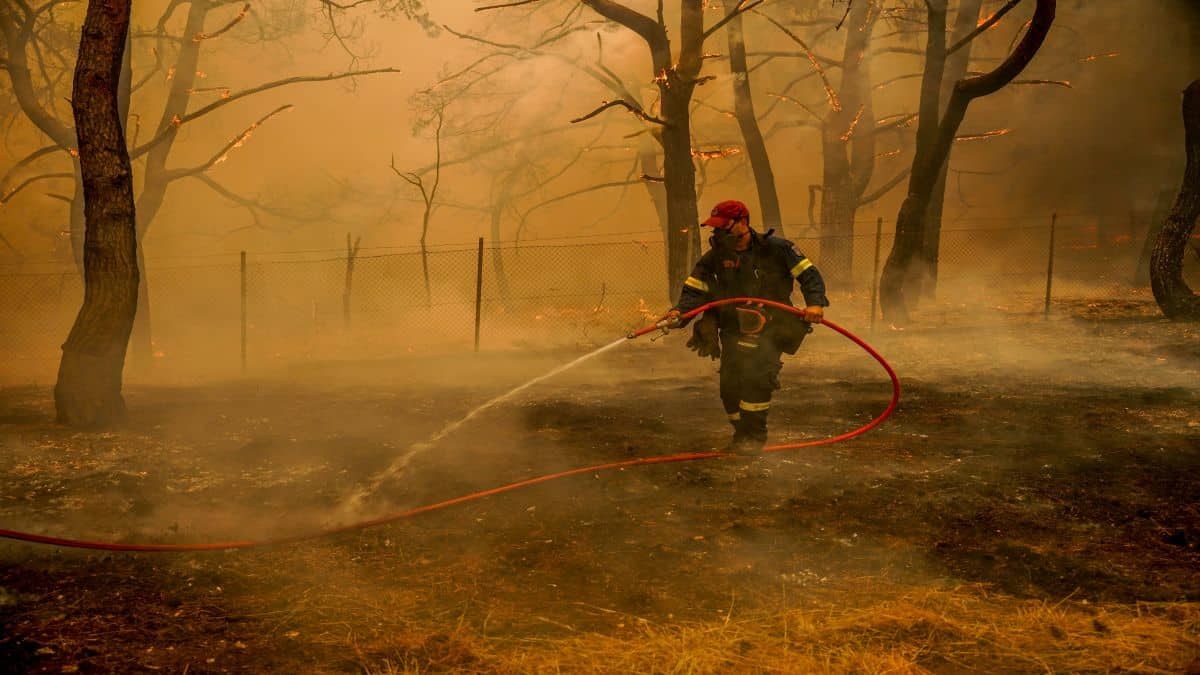 Μεγάλη φωτιά στα Μακρίσια Ηλείας – Εκκενώνεται η κατασκήνωση στη Φρίξα