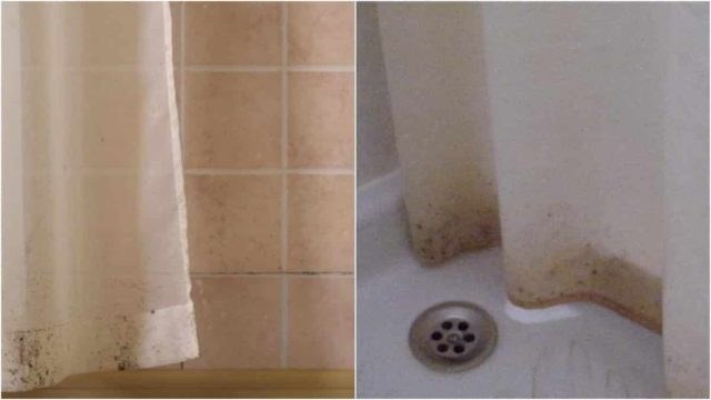 Μούχλα στις κουρτίνες μπάνιου: Αυτό είναι το κόλπο που θα σας βοηθήσει να απαλλαγείτε