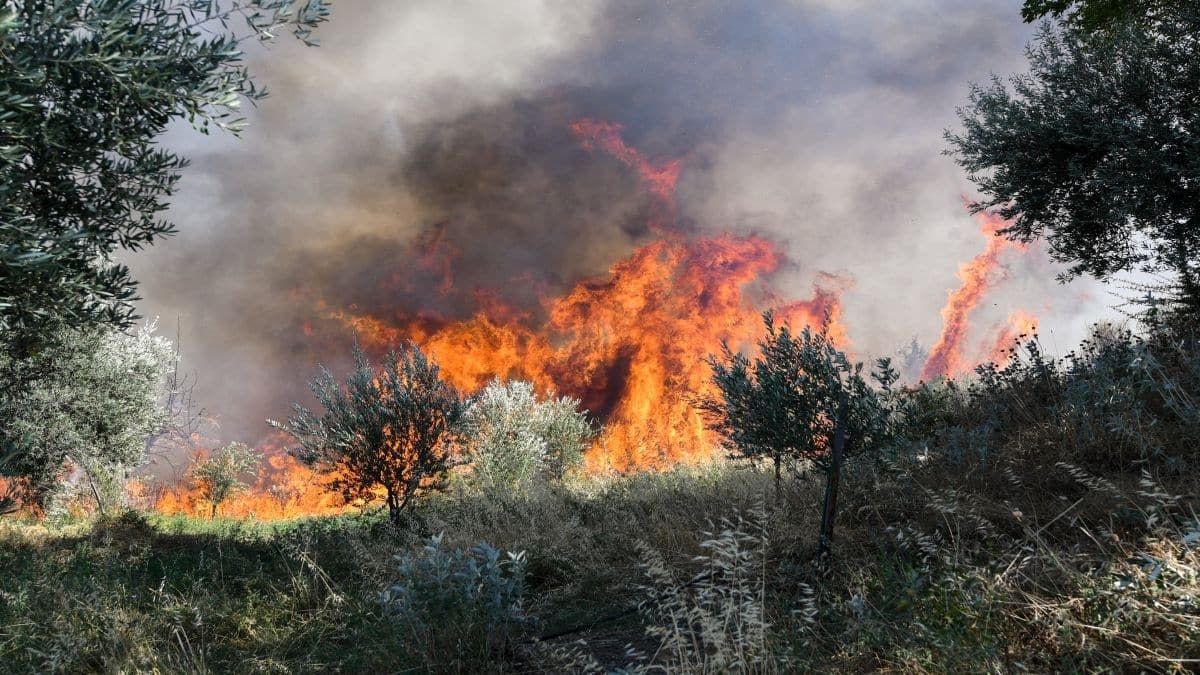 Συναγερμός στην Κορινθία – Φωτιά στο Κατακάλι