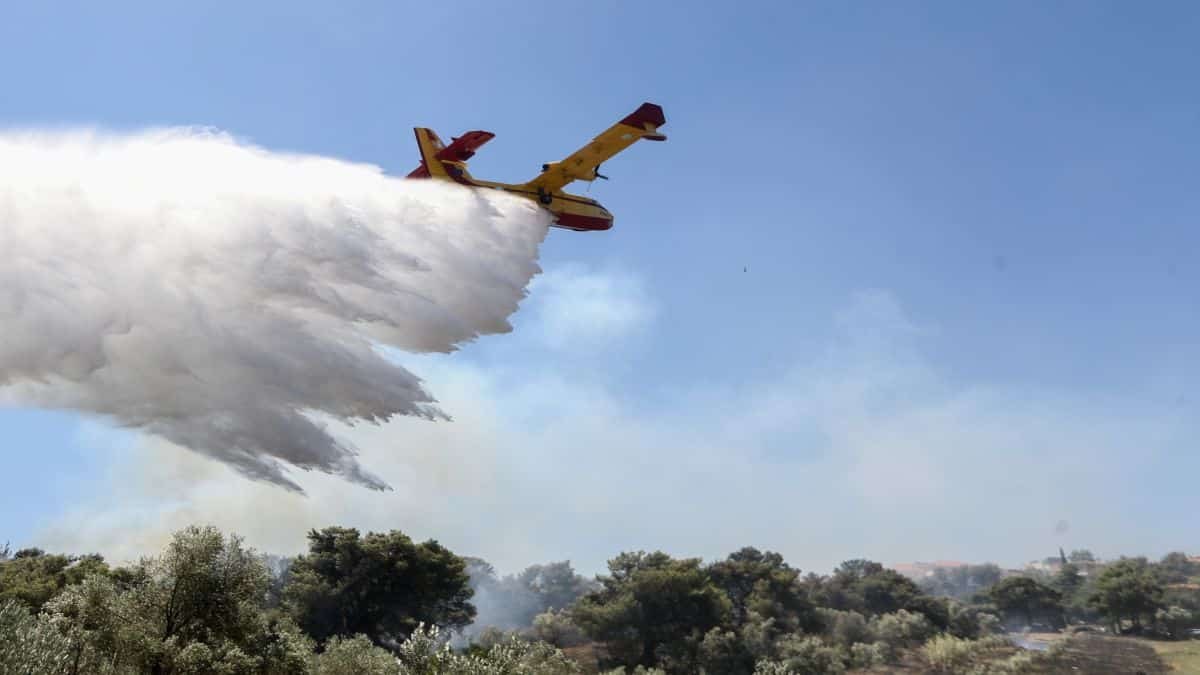Φωτιά στα Μέγαρα: Έκτακτο μήνυμα 112 για εκκένωση του χωριού Ζάχουλη προς Αλεποχώρι
