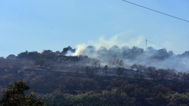 Φωτιά στην Αργολίδα: Οριοθετήθηκε – Κοντά σε σπίτια έφτασαν οι φλόγες, εκκενώθηκε ξενοδοχείο