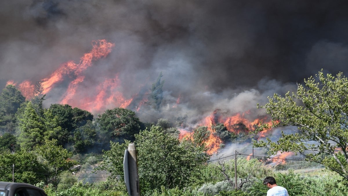 Πύρινη «κόλαση» στην Πελοπόννησο: Φλόγες κατακαίνε μεγάλες εκτάσεις σε Γύθειο και Πύργο Ηλείας (photos-video)