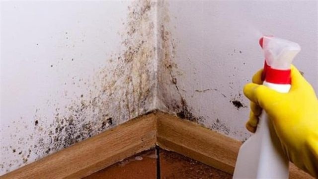 Το λάθος που κάνουμε και δεν εξαφανίζονται μούχλα και υγρασία από το σπίτι