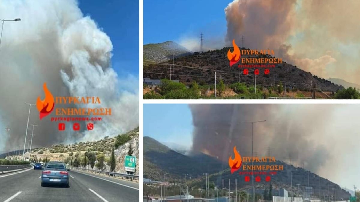 Φωτιά κοντά στα διόδια της Ελευσίνας: Προληπτική εκκένωση της Άνω Βλυχάδας! Έκλεισε η Αθηνών-Κορίνθου (photo-video)