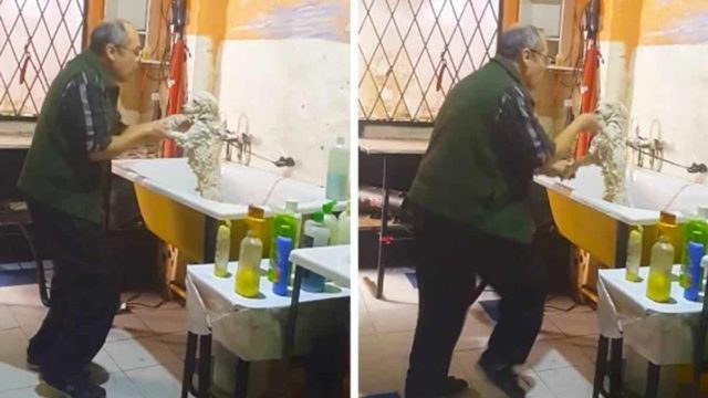 Ξεκίνησε να κουρεύει έναν σκύλο όταν… Αυτό που κατέγραψε η κάμερα σίγουρα δεν το έχετε ξαναδεί!