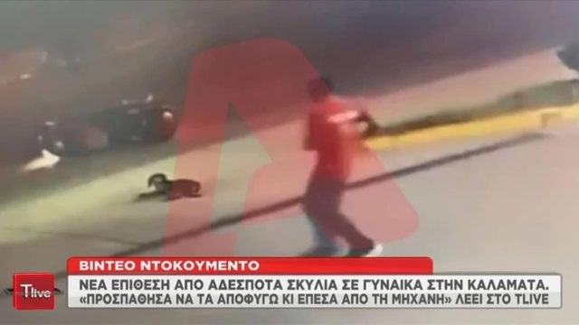 Σοκαριστικό βίντεο-ντοκουμέντο από τη νέα επίθεση αδέσποτων σκύλων σε γυναίκα που έπεσε από τη μηχανή