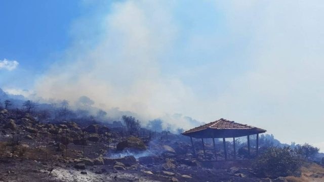 Φωτιά στην Λέσβο – Μάχη για να μην απειληθεί μεγάλο δάσος (φωτο)