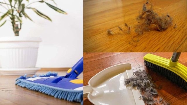 6+1 έξυπνοι τρόποι για να απαλλαγείτε από τη σκόνη στο σπίτι