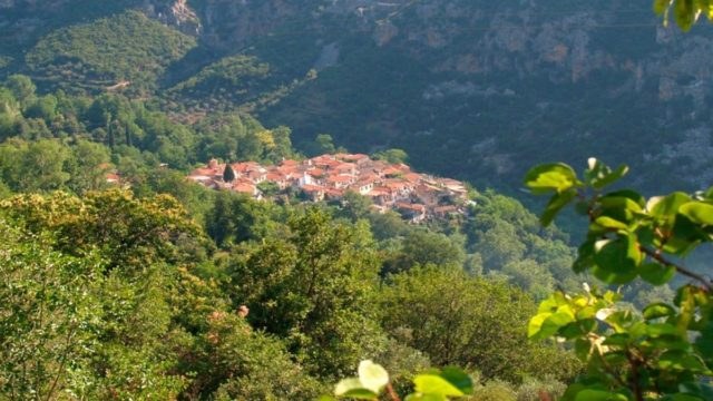 Ανακηρύχθηκε παραδοσιακός οικισμός και συγκλονίζει με την ομορφιά του: Το «πνιγμένο» στα πλατάνια χωριό της ορεινής Αρκαδίας (video)