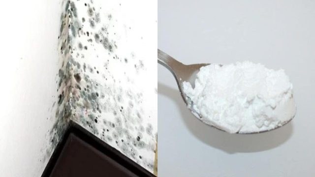 Υγρασία και μούχλα τέλος!  Λίγες κουταλιές μαγειρική σόδα και άλλα 2 υλικά θα σας λύσουν το πρόβλημα