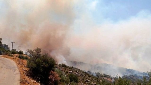 Παπίκιο Όρος: Δορυφορική φωτογραφία αποκαλύπτει την ανυπολόγιστη οικολογική καταστροφή