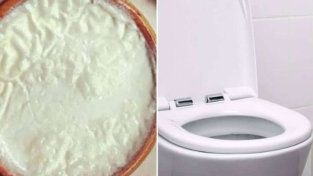Ρίξτε γιαούρτι στη λεκάνη της τουαλέτας και δε θα πιστεύετε στα μάτια σας!