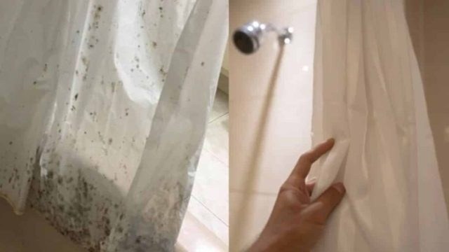 Μούχλιασε η κουρτίνα του μπάνιου; Το εύκολο κόλπο για να εξαφανίσετε τις βρομιές ανέξοδα