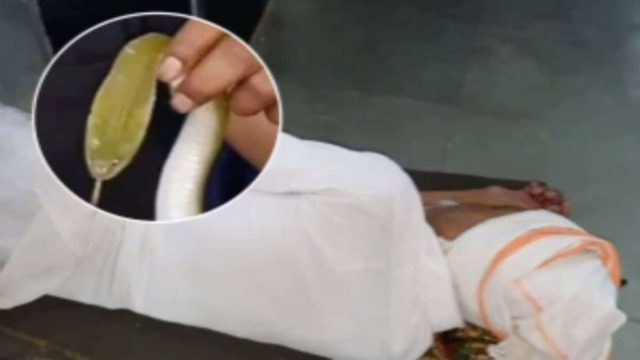 Φίδι μπαίνει από το κάτω από το πουκάμισο ενός άντρα – Αυτό που γίνεται στη συνέχεια θα σας κόψει την ανάσα!
