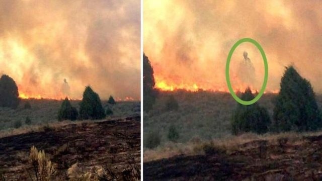 Κοιτούσαν αποσβολωμένοι την φωτιά να καταστρέφει το σπίτι τους. Αυτό που βγήκε μέσα από τις φλόγες τους έκανε να παγώσουν!