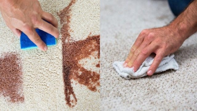Τέρμα στον πανικό: Έπεσε κόκκινο κρασί στο χαλί; Έτσι θα το κάνεις σαν καινούργιο!