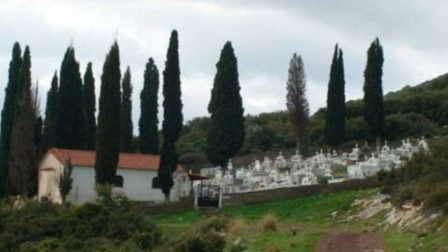 Tο γνώριζες: Για ποιο λόγο φυτεύουν κυπαρίσσια στα νεκροταφεία!