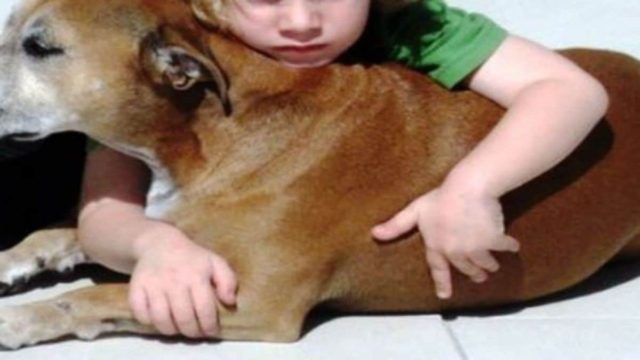 Είπαν σε 6χρονο παιδί ότι ο σκύλος του θα πεθάνει – Διαβάστε τι τους απάντησε