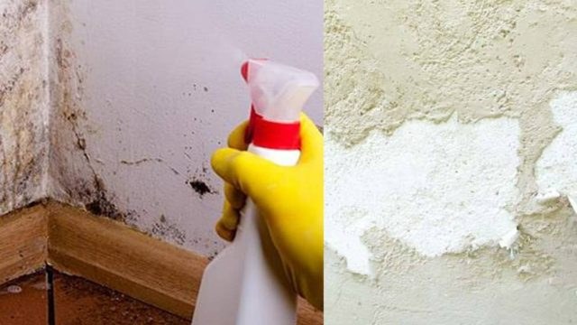 Εξαφανίστε την υγρασία ανέξοδα με το υλικό που έχετε στην κουζίνα σας