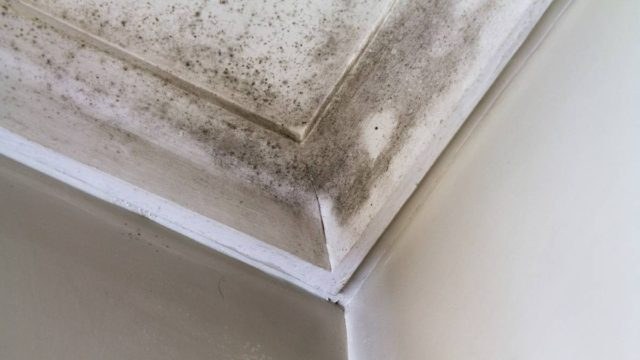 Υγρασία στο ταβάνι: Για να μην σας έρθει ο ουρανός “σφοντύλι” – Το κόλπο με μαγειρική σόδα και χυμό λεμονιού που θα σας σώσει