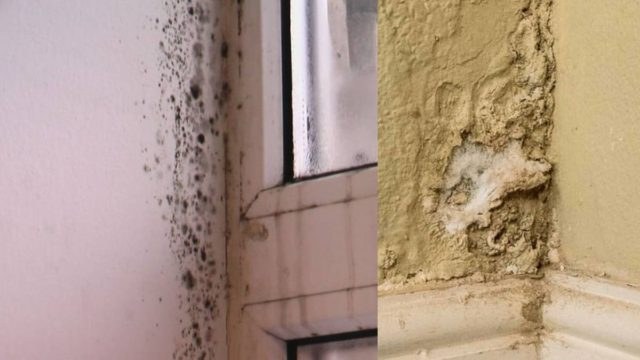 Υγρασία στους τοίχους: Αποτρέψτε την εξάπλωση της μούχλας χωρίς να ξοδέψετε ούτε 1 ευρώ!
