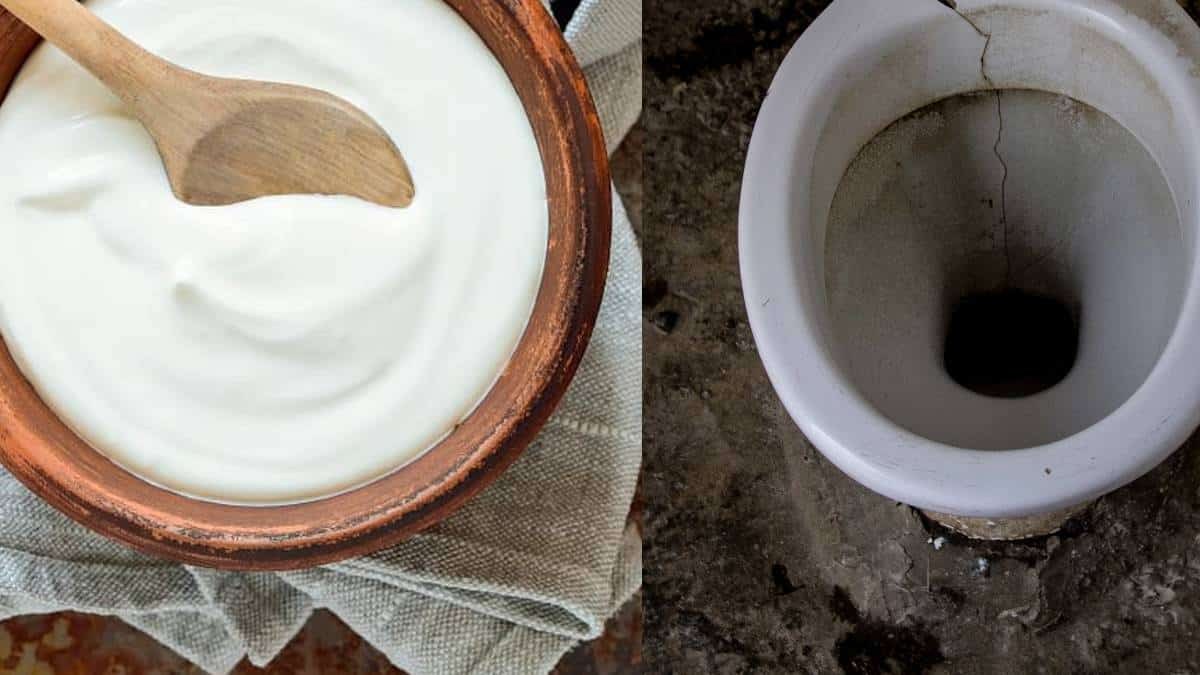 Έριξε γιαούρτι στη λεκάνη της τουαλέτας και απαλλάχτηκε από ένα πολύ δύσκολο πρόβλημα
