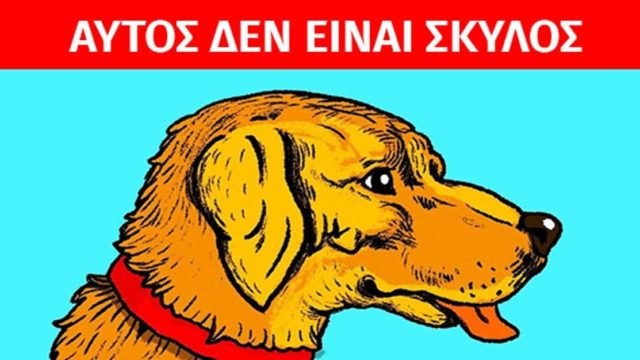Οφθαλμαπάτη σκέτο «κάψιμο»: Αυτός ΔΕΝ είναι ένας σκύλος – Μπορείς να βρεις την κρυμμένη φιγούρα;
