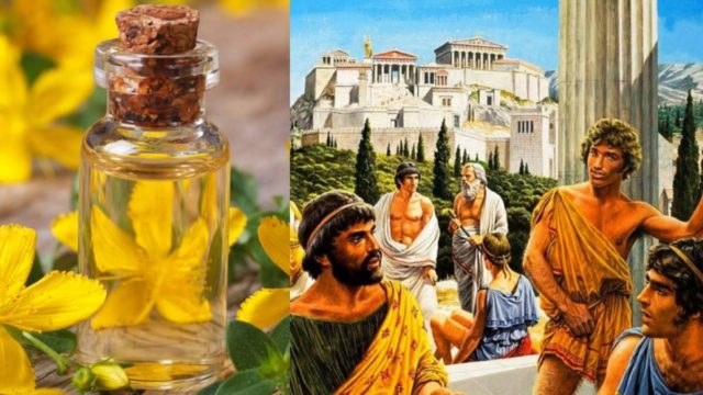 Θεραπεύει έλκος και κατάθλιψη: Το βάλσαμο των Αρχαίων Ελλήνων που κάνει θαύματα μέχρι σήμερα