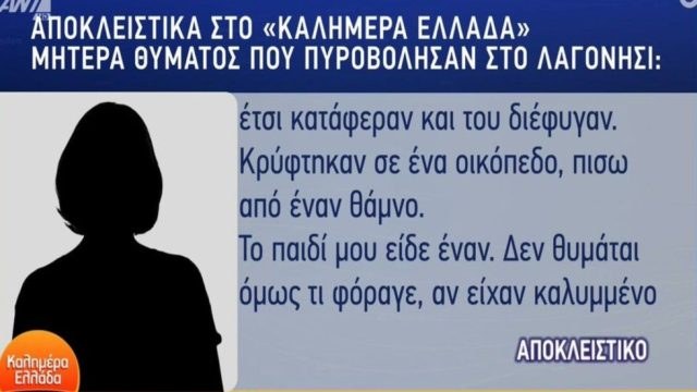 Θρίλερ στο Λαγονήσι: «Τους πυροβόλησε πισώπλατα! Πέσανε στα γόνατα και τον παρακαλούσαν “Μην μας σκοτώσετε”» – Η δραματική περιγραφή της μητέρας του 16χρονου (Video)