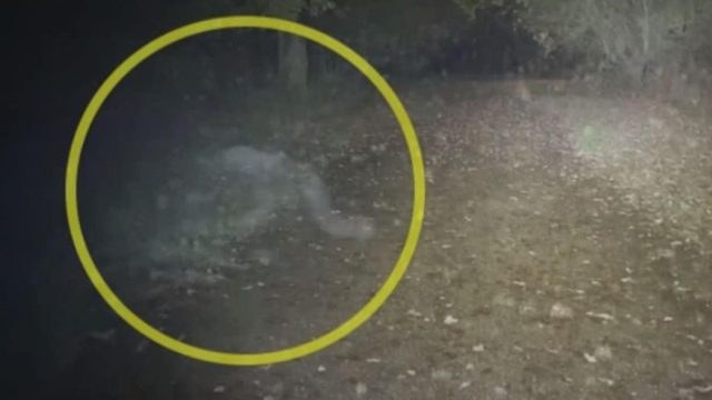 27χρονος έβγαλε τον σκύλο του βόλτα – Αυτό που είδε και κατέγραψε με την κάμερα δεν θα το ξεχάσει ποτέ (Video)
